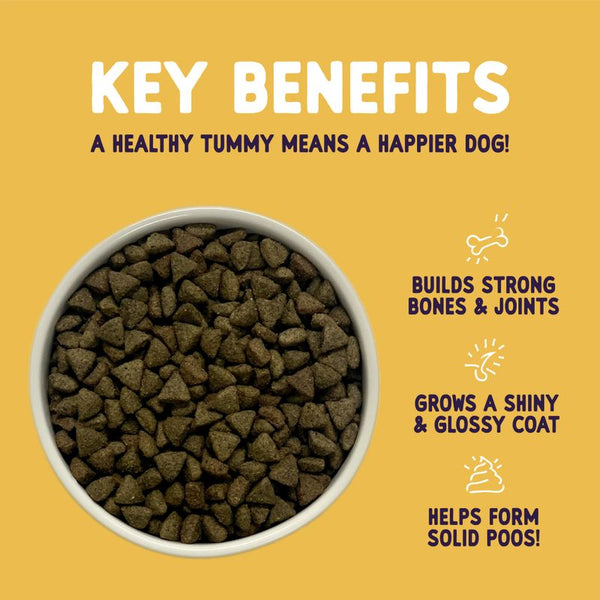 Burgess Sensitive Adult Dog Turkey || Burgess || view 3