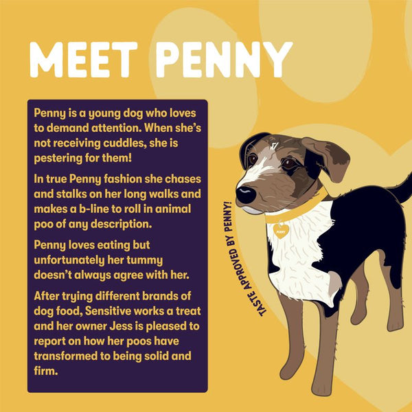 Burgess Sensitive Adult Dog Turkey || Burgess || view 6