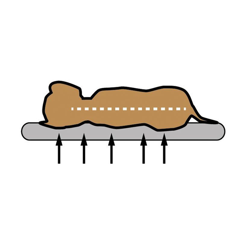 Diagram shows a lying figure on a mattress with pressure distribution indicated by arrows and a dashed line along the body centre.