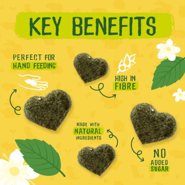 Burgess Excel Blueberry & Spinach Sunshine Snacks || undefined || view 3