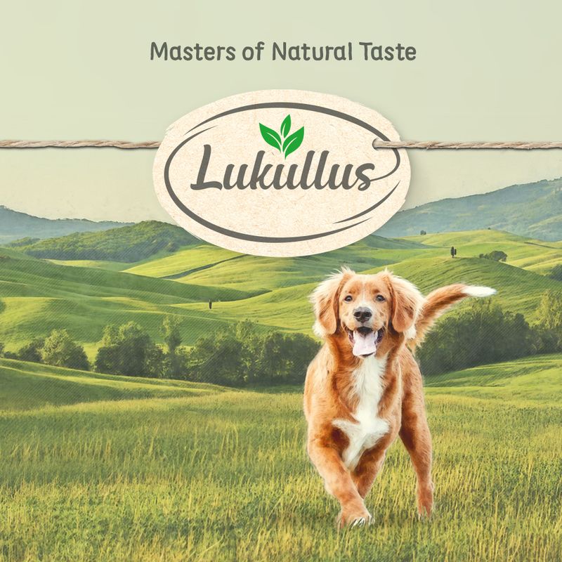 Lukullus Rabbit & Game || Lukullus || view 8