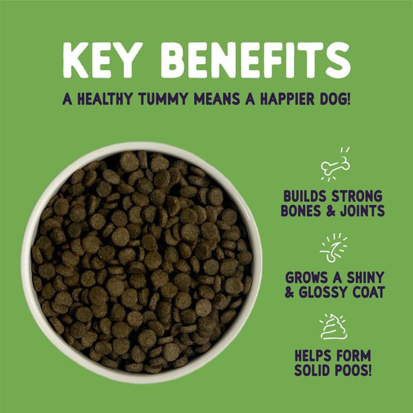 Burgess Sensitive Adult Dog Lamb || Burgess || view 7