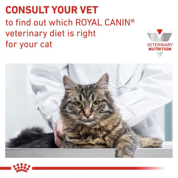Royal Canin Veterinary Cat - Gastrointestinal in Gravy || undefined || view 9