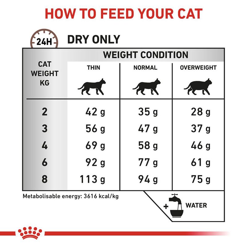 Royal Canin Veterinary Cat - Gastrointestinal Hairball || Royal Canin Veterinary Diet || view 8