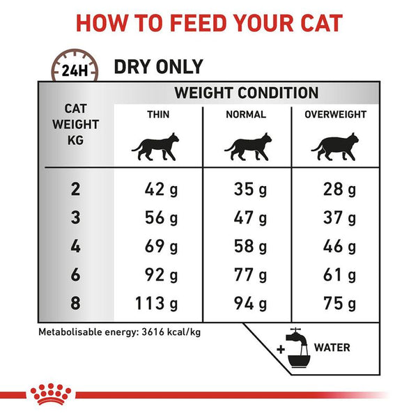 Royal Canin Veterinary Cat - Gastrointestinal Hairball || Royal Canin Veterinary Diet || view 8