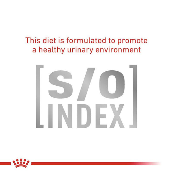 Royal Canin Veterinary Cat - Gastrointestinal Hairball || Royal Canin Veterinary Diet || view 7