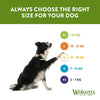 Whimzees by Wellness Ricebones || WHIMZEES || view 7