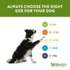 Whimzees by Wellness Monthly Stix Box || WHIMZEES || view 10