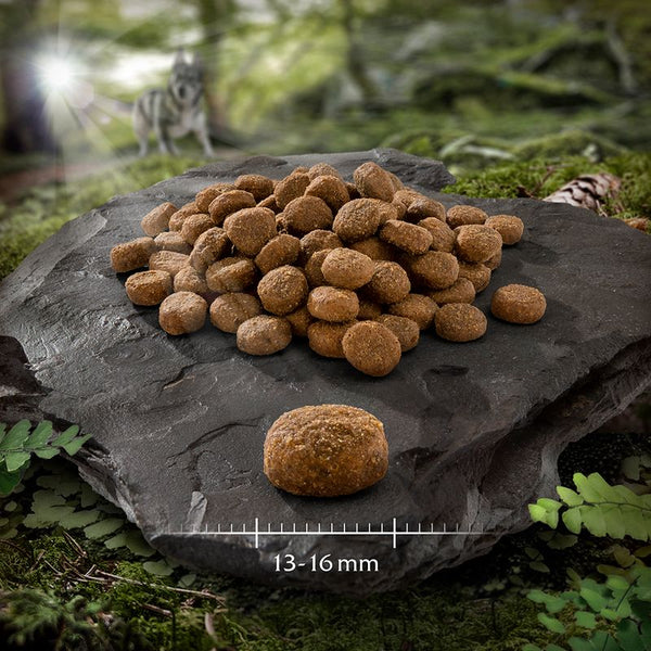 Wolf of Wilderness Adult "Ruby Midnight" – Beef & Rabbit || Wolf of Wilderness || view 6