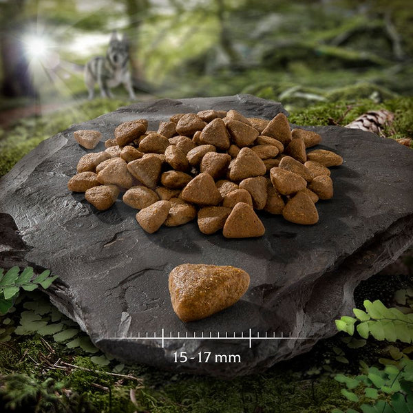 Wolf of Wilderness SensitiveAdult "Vast Oceans" - Fish || Wolf of Wilderness || view 3