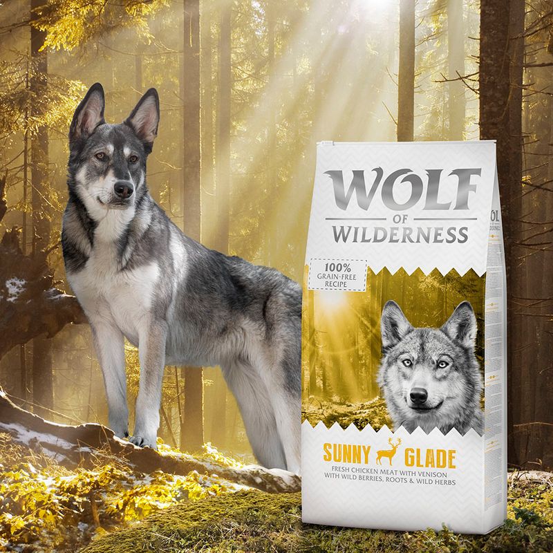 Wolf of Wilderness Sunny Glade, 100% grain-free recipe, fresh chicken with game, berries, roots and herbs.