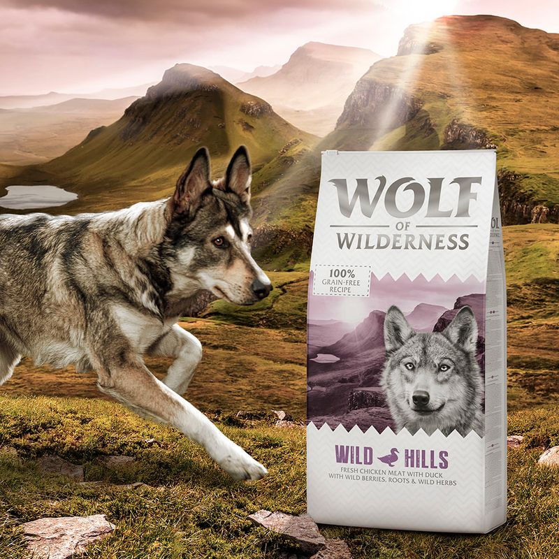 Wolf of Wilderness Wild Hills dry food with fresh chicken and duck, 100% grain-free recipe, with berries, roots and herbs.