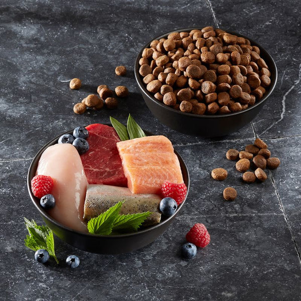 Wolf of Wilderness Adult "Blue River" - Salmon || Wolf of Wilderness || view 7