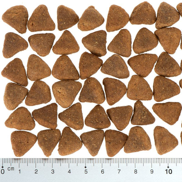 Wolf of Wilderness "Elements" Mixed Trial Pack || Wolf of Wilderness || view 8