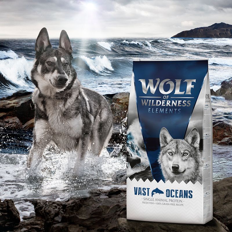 Wolf of Wilderness Sensitive  Adult "Vast Oceans" - Fish || Wolf of Wilderness || view 5