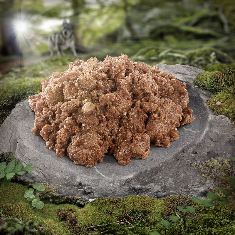 Close-up of brown wet food on a stone, surrounded by forest landscape with moss and a wolf in the background.