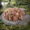 Wolf of Wilderness Senior Duo-Protein Recipe 6 x 400g || Wolf of Wilderness || view 4