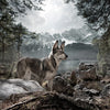 Wolf of Wilderness Dog Food Bag || Wolf of Wilderness || view 9