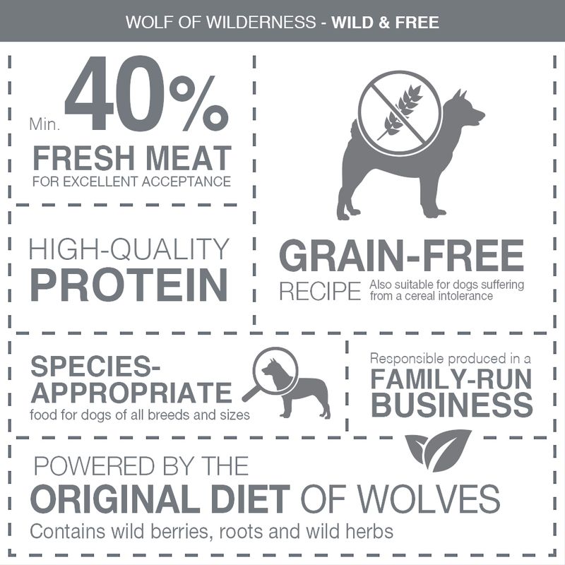 Wolf of Wilderness Soft "High Valley" - Beef || Wolf of Wilderness || view 2