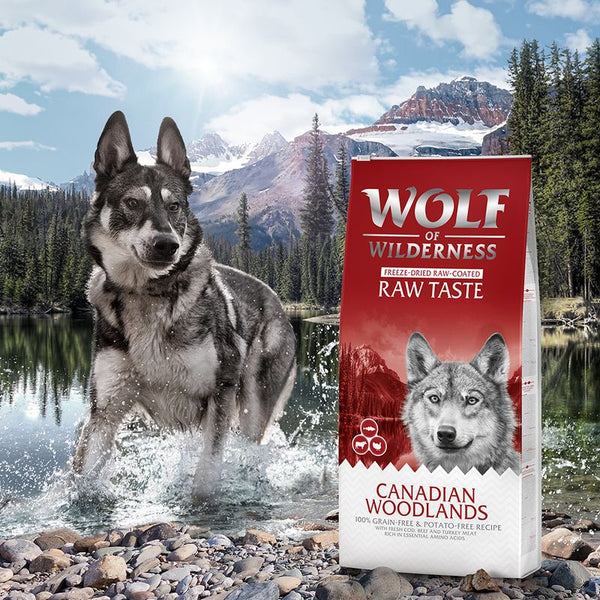 Wolf of Wilderness "Canadian Woodlands" with Beef, Cod & Turkey - Grain Free || Wolf of Wilderness || view 7