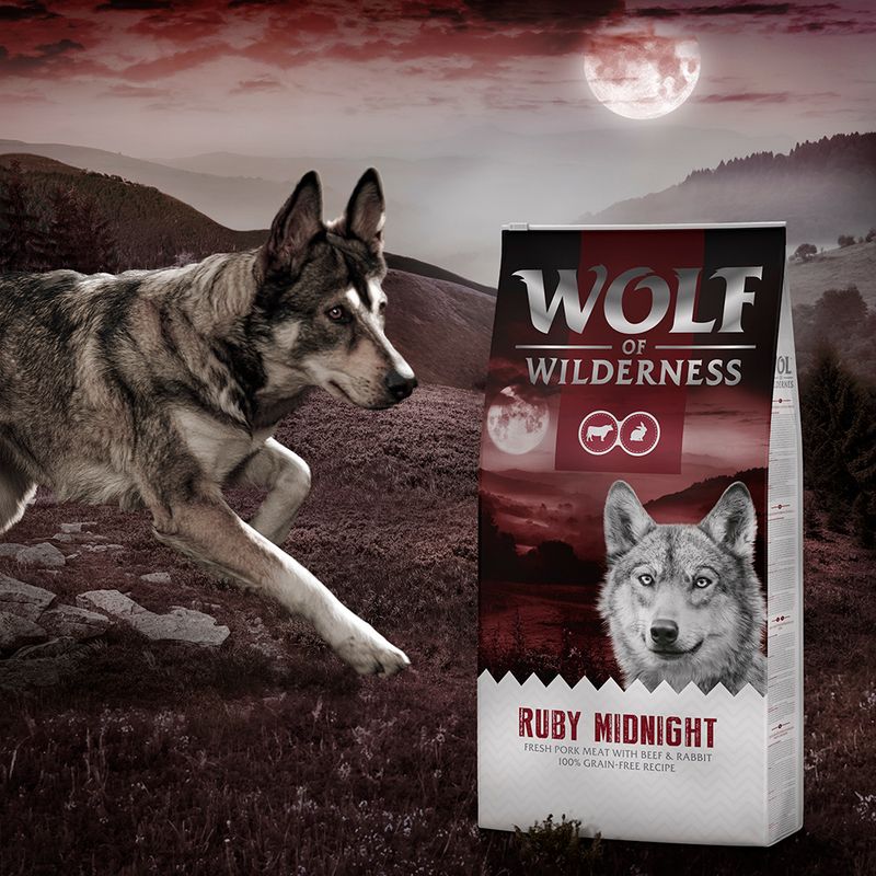 Wolf of Wilderness Adult "Ruby Midnight" – Beef & Rabbit || Wolf of Wilderness || view 8