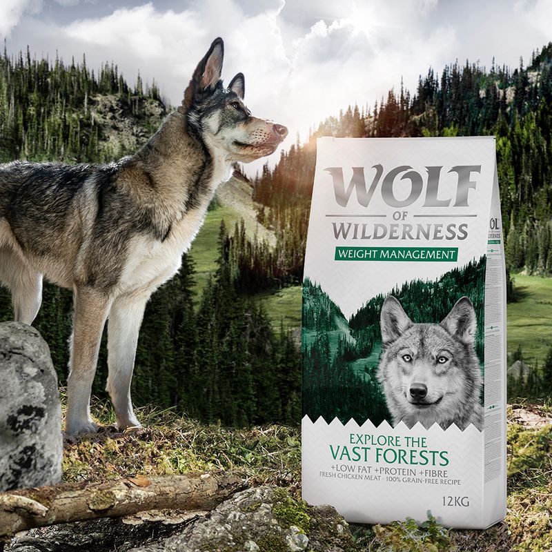 Wolf of Wilderness "Explore The Vast Forests" - Weight Management || Wolf of Wilderness || view 5