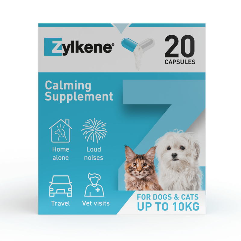 Zylkene Calming Supplement, 20 capsules. For dogs and cats up to 10 kg. Suitable for being alone, loud noises, travel and vet visits.